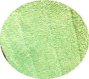 الأخضر الملتوية 13 * 47 أضعاف غرزة ستوكات الرطب تنظيف ممسحة منصات الرأس